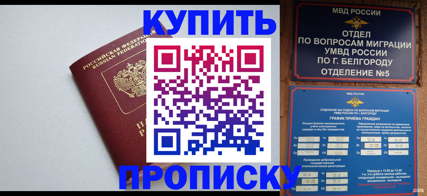 прописка регистрация в Коркино